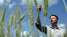 С высоким спросом