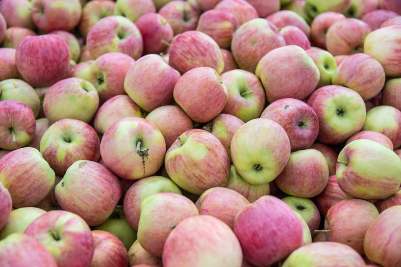 За последние десять лет производство плодов и ягод в промышленном секторе Кубани выросло в 2,2 раза