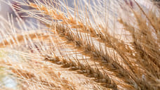 С поля с жару