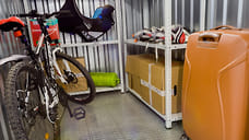 Тенденция к cамохранению