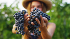 Россельхозбанк запускает продажу туристических маршрутов во всех отделениях банка