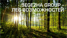 Segezha Group участвует в работе форума «Леса России»