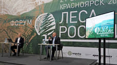 Segezha Group выступает за создание российского стандарта устойчивого лесоуправления