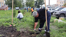 В Красноярском речном порту высадили деревья