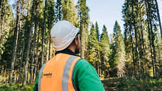 Segezha Group за отечественную систему добровольной лесной сертификации