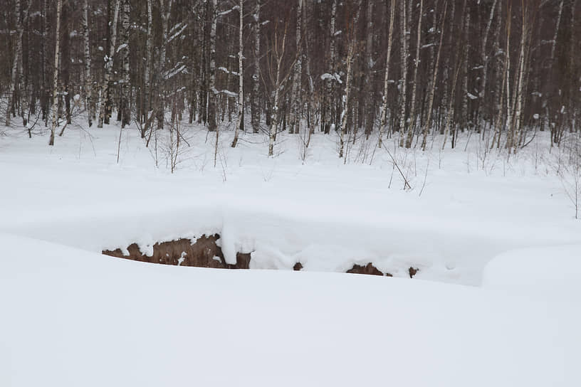 Фельдшерско-акушерский пункт в деревне Шумилово Богородского района почти не виден из-под снега