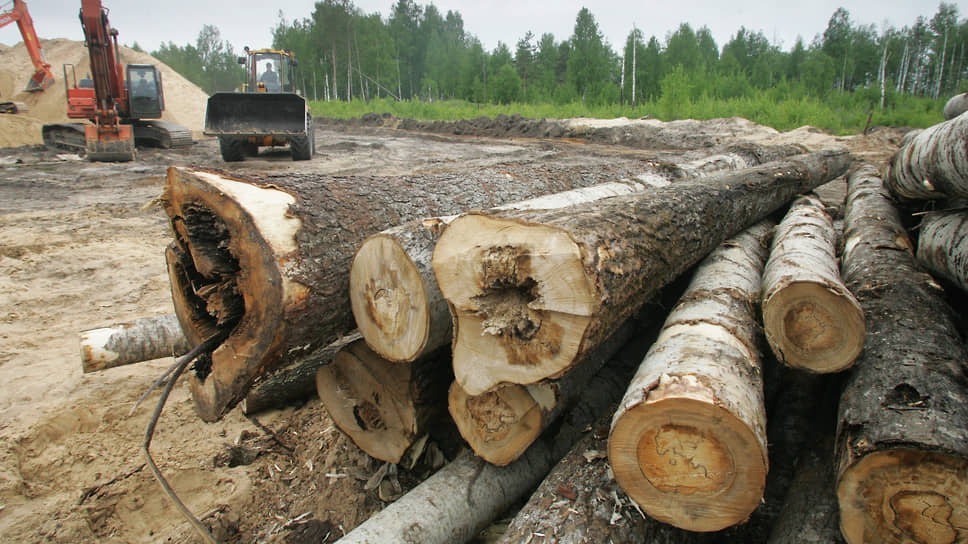 Расчистку просек для газопроводов хотят узаконить в городских лесах