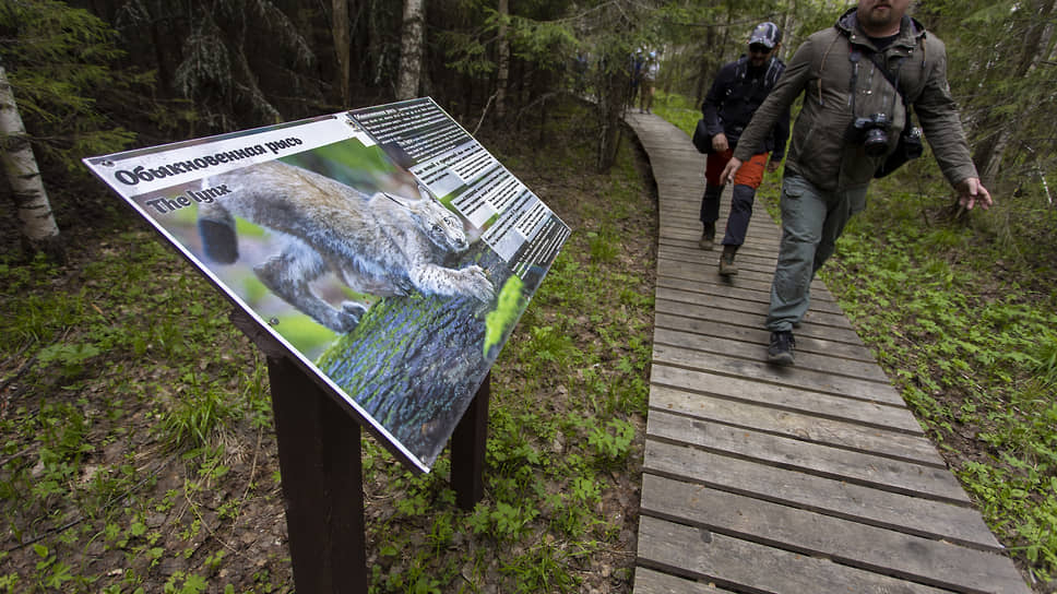 В будущем национальном парке власти хотят развивать экотуризм