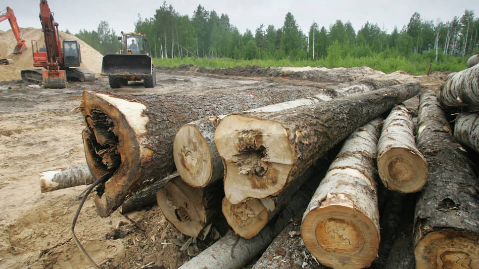 Строителям баз отдыха сократят компенсационные выплаты за вырубку деревьев