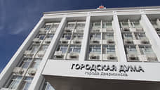 Городу химиков пообещали легитимных депутатов