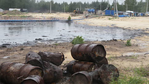 Генеральная недоуборка // Нижегородские депутаты не увидели действенной борьбы с «мусорной мафией»