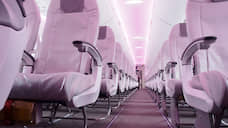 Депутаты думы Нижнего Новгорода отправятся в командировки эконом-классом