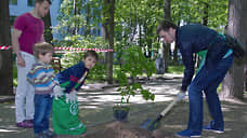 Около четырех тысяч деревьев высадят в Нижнем Новгороде