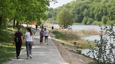 Нижегородцы собирают подписи против вырубки деревьев рядом со Щелоковским хутором