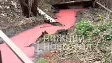 Вода в реке под Кстовом окрасилась в розовый цвет