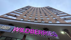 Региональные власти пока не договорились о площадке для центра Wildberries