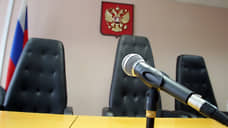 Бывшему главе Богородского района Александру Сочневу назначили условный срок
