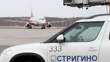 В районе нижегородского аэропорта планируется вырубить 14,1 га леса
