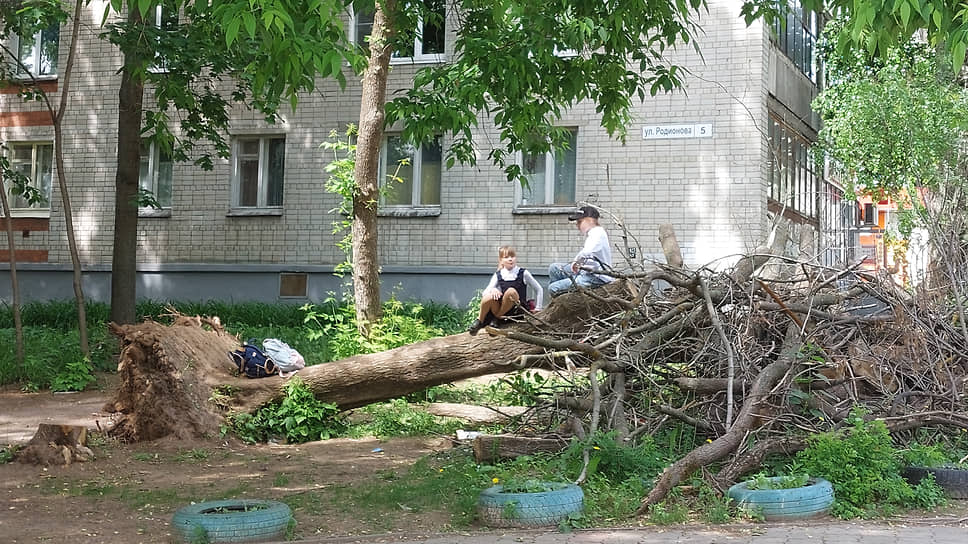 Школьники играют на обломках дерева, упавшего после ледяного дождя в ноябре рядом с домом 5 по улице Родионова.