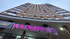 Нижегородской области отказали в передаче земельного участка под проект Wildberries