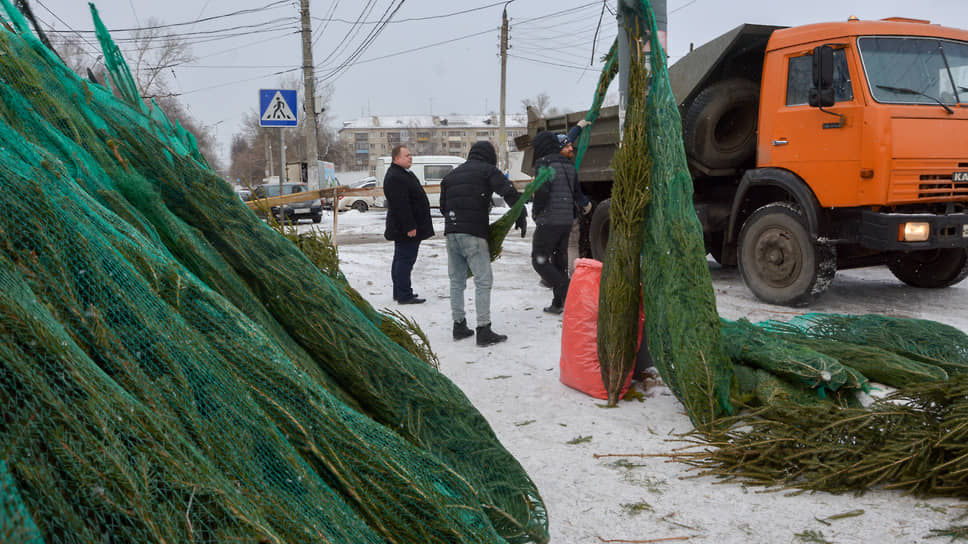 Рейд по местам нелегальной торговли новогодними елями на рынке "Заречный"