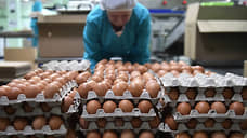 Производство яиц в Нижегородской области за четыре года сократилось на 11%