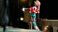 Более 50 млн рублей направят на ремонт театра кукол в Нижнем Новгороде