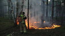С 1 июня Керженский заповедник закроют из-за высокой пожарной опасности