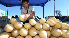 Узбекистан откроет в Нижнем Новгороде рынок с  агропродукцией Бухарской области