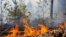 В Балахнинском районе локализован лесной пожар