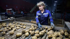 Карантин по золотистой картофельной нематоде введен в Арзамасе
