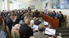 Нижегородское заксобрание утвердило нового аудитора областной счетной палаты