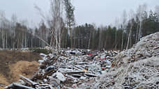Росприроднадзор проверяет загоревшуюся нелегальную свалку на Московском шоссе