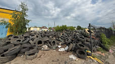 Росприроднадзор начал проверку крупной свалки шин в Нижнем Новгороде