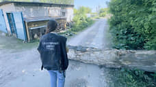 Дело о халатности завели после гибели жителя Перевоза из-за упавшего дерева