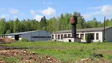 Группу нелегальных мигрантов выявили на пилораме в Семеновском округе