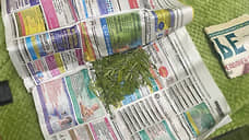 Нижегородца задержали по обвинению в создании интернет-магазина наркотиков