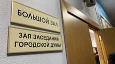 Дума утвердила участие Нижнего Новгорода в проекте «Вам решать!» в 2026 году
