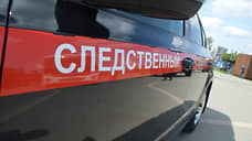 Жительницу Дзержинска нашли задушенной в лесополосе