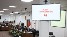 Комиссия по патриотическому воспитанию появилась в нижегородской думе