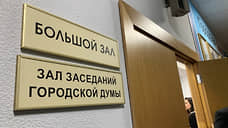 Шесть председателей комиссий нижегородской думы сохранили свои посты