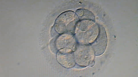 На ЭКО в нижегородском облбюджете 2026 года предусмотрели 171 млн рублей