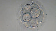 На ЭКО в нижегородском облбюджете 2026 года предусмотрели 171 млн рублей