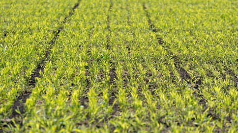 Нижегородской «Заре» выдали предостережение из-за превышения нормы пестицидов