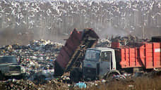 Уголовное дело из-за 12 тысяч тонн мусора возбуждено в Нижегородской области