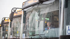 Четверть пакета акций «Павловского ПАП» выставили на аукцион