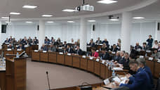 Нижегородские депутаты попросили денег в свои фонды к Новому году