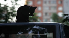 На ПО для распознавания животных в Нижегородской области выделили 2 млн рублей