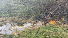 Разлив нефтепродуктов произошел в Кстовском районе Нижнего Новгорода