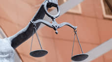 Бывшего замглавы Перевоза будут судить за гибель жителя из-за упавшего дерева